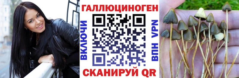 Галлюциногенные грибы Cubensis  Орлов 