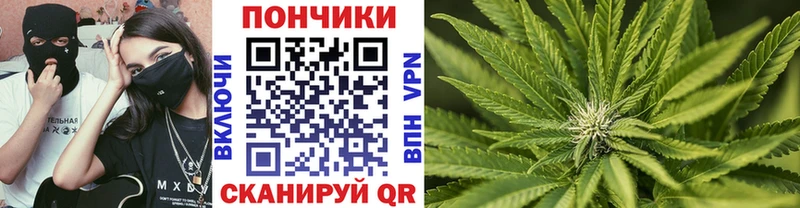 где купить   Орлов  Каннабис AK-47 